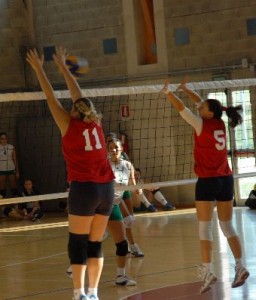 Bruni-Finistauri (muro)