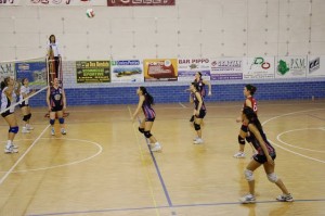 Bam Bam Ristosauro San Sisto in azione