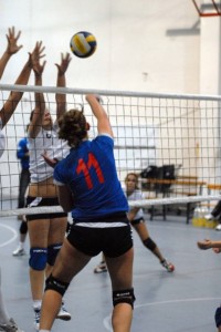 Viali Valeria (attacco) Viali Valeria (attacco)