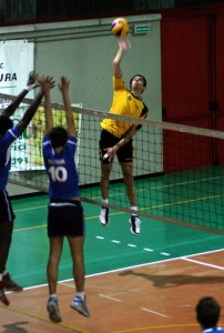 Barili Alessio (attacco)