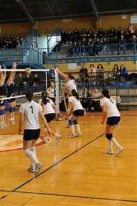 Samer Marsciano (attacco)