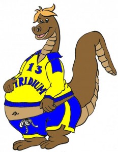 Iridium Pallavolo Gubbio