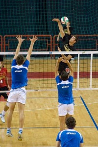 Ranghieri Alex (attacco)