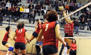 Quondam Alessia (attacco)