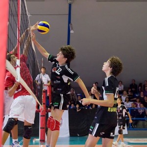 Sir Safety Perugia (under)