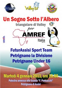 Un sogno sotto l'albero Un sogno sotto l'albero