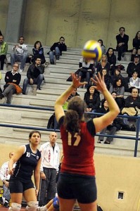 Campana Erika (alza) Campana Erika (alza)