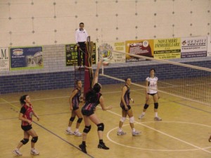 Cutini Sara (attacca)