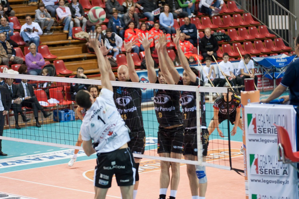 Gardner-Tomasello-Barbareschi (muro) Gardner-Tomasello-Barbareschi (muro)