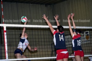 Tenerini Martina (attacco)