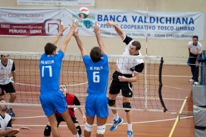 Petric Nemanja (attacco)