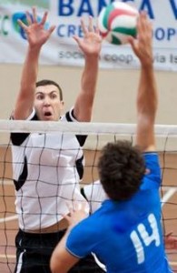 Petric Nemanja (muro)