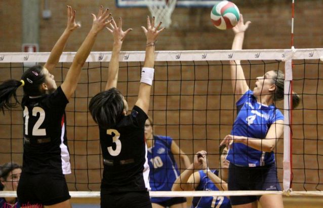 Hromis Valentina (attacco)