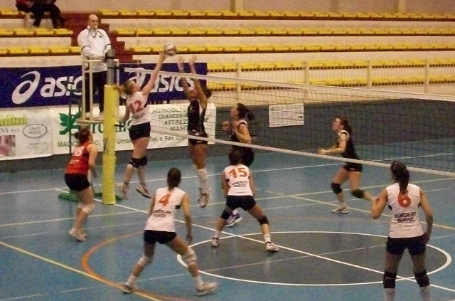 Molinari Carolina (contrasto)