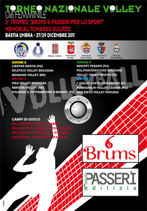 Brums & Passeri 2011 (locandina) Brums & Passeri 2011 (locandina)