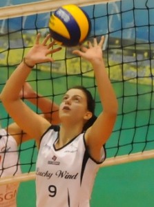 Agrifoglio Beatrice (alza)