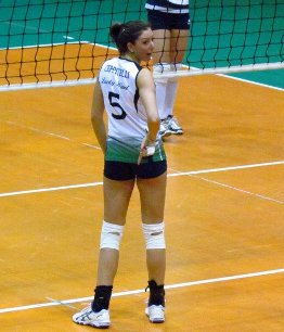 Ceppitelli Catia (rete)