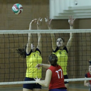 Marzocchi-Angelini (muro)