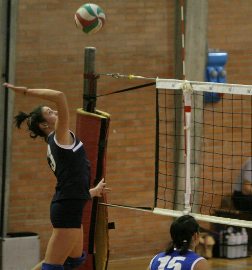 Medda Francesca (attacca)