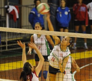 Sechi Sonia (attacco)