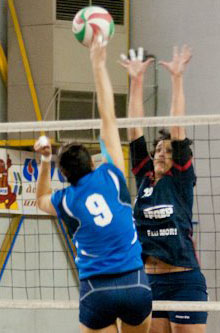 Uccellani Rita (muro)