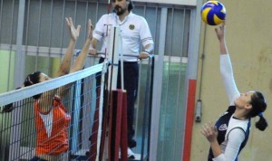 Marini Elisa (pallonetto)