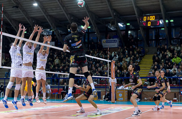 Petric Nemanja (attacca) Petric Nemanja (attacca)