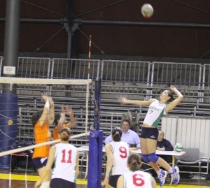 Capezzali Alessandra (attacco)