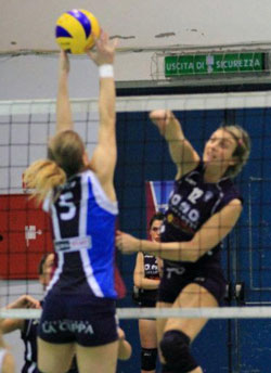 Marchi Georgia (attacca) Marchi Georgia (attacca)