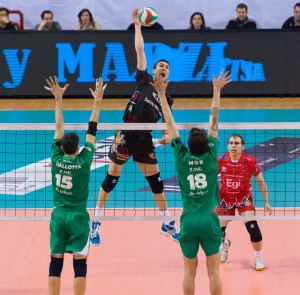 Petric Nemanja (attacco) Petric Nemanja (attacco)