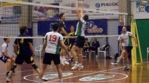 Guarino Davide (attacco)