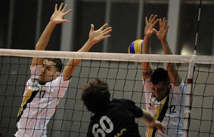 Pagliaroli-Renzini (muro)