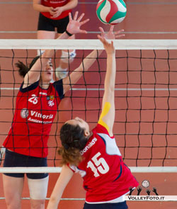 Cherubini Veronica (muro)