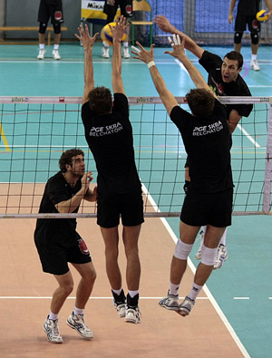 Petric Nemanja (attacco)