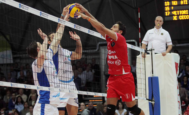 Fiore Alessio (contrasto)