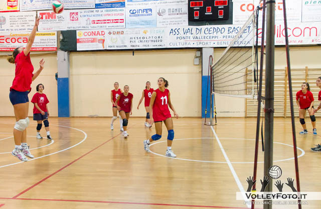 Meschini Elisabetta (pallonetto) Meschini Elisabetta (pallonetto)