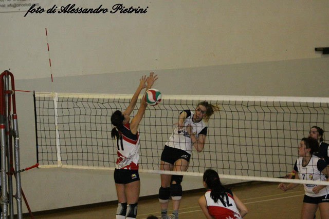 Molinari Carolina (attacca)