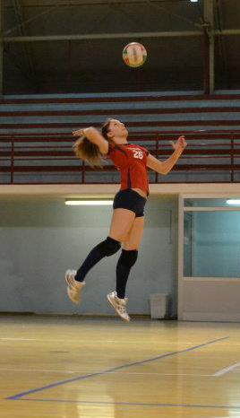 Alikaj Joela (battuta)