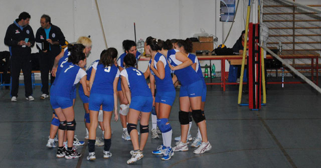 Amerina Pallavolo (gruppo) Amerina Pallavolo (gruppo)