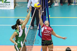 Rosa Francesca (contrasto)