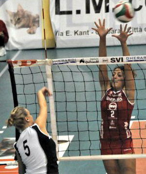 Cucciaglioni Veronica (muro)