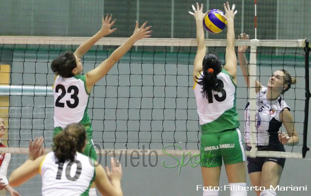 Terranova Federica (attacco)