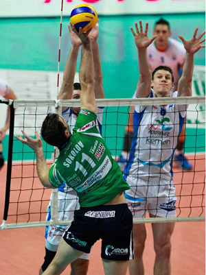 VanDenDries-Bohme (muro)