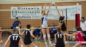 Terranova Federica (muro)