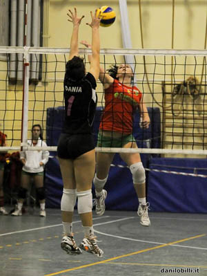 Camilli Celeste (attacca)