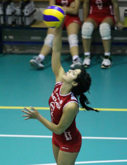 Cucciaglioni Veronica (colpo)