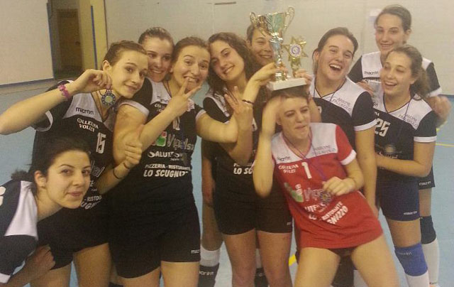 Arroluna Volley (coppa)