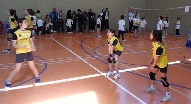 Borgo Cerreto - torneo minivolley