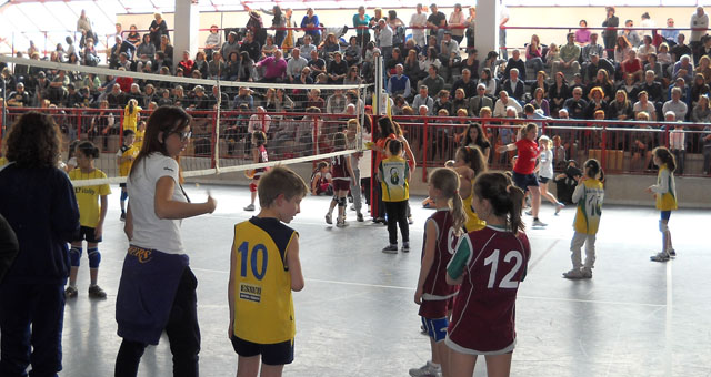 Minivolley Amelia (panoramica)