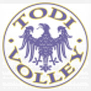 Todi Volley (logo)